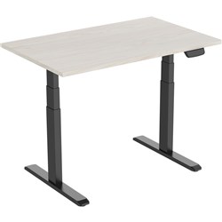 Ergovida Sit-Stand Desk Straight Electric Black Frame Lightwood 1500 x 750mm Top