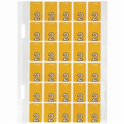 Avery Numeric Coding Label 2 Top Tab 20x30mm Orange Pack of 150