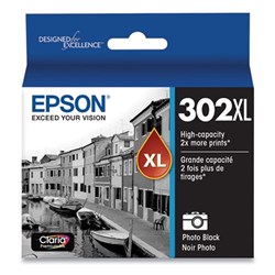 Epson 302 HY Ink Cartridge Photo Black