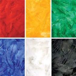 Turkey Feathers - Assorted - Set of 6 Colours
