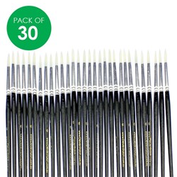 Fine Point Artist Brushes - Pack of 30