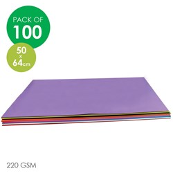 CleverPatch Cardboard - Assorted Colours - 500 x 640mm - Pack of 100