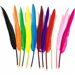 EC Quill Feathers Brights 60g Pack